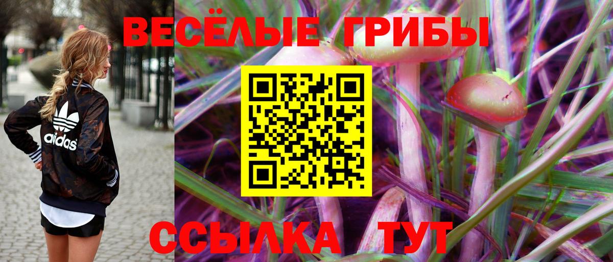 Галлюциногенные грибы прущие грибы Нововоронеж